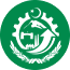 image-here